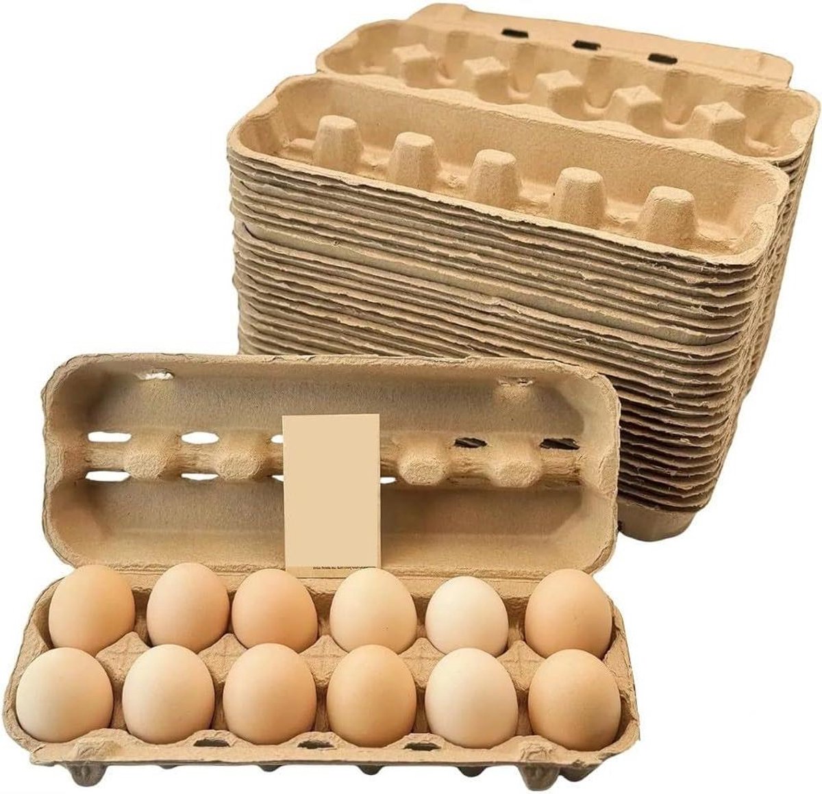 Eierdoos - Opbergvak - Eieren Bewaren - Biologisch Afbreekbaar - 12 Standaard Eieren - Wit