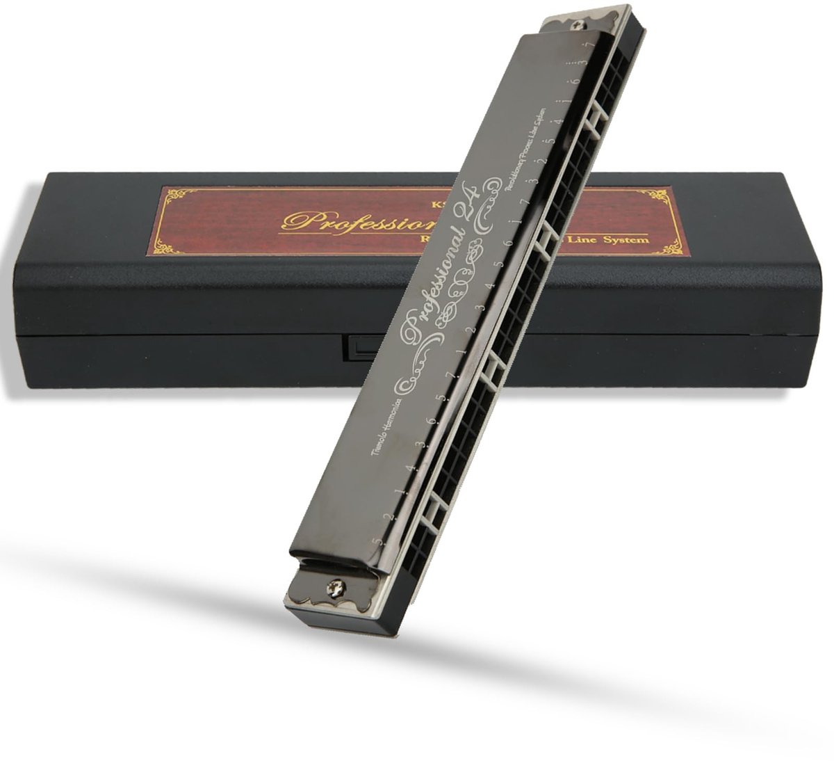 Dailygoods - 24-gaats Mondharmonica F-sleutel voor Beginners en Professionals