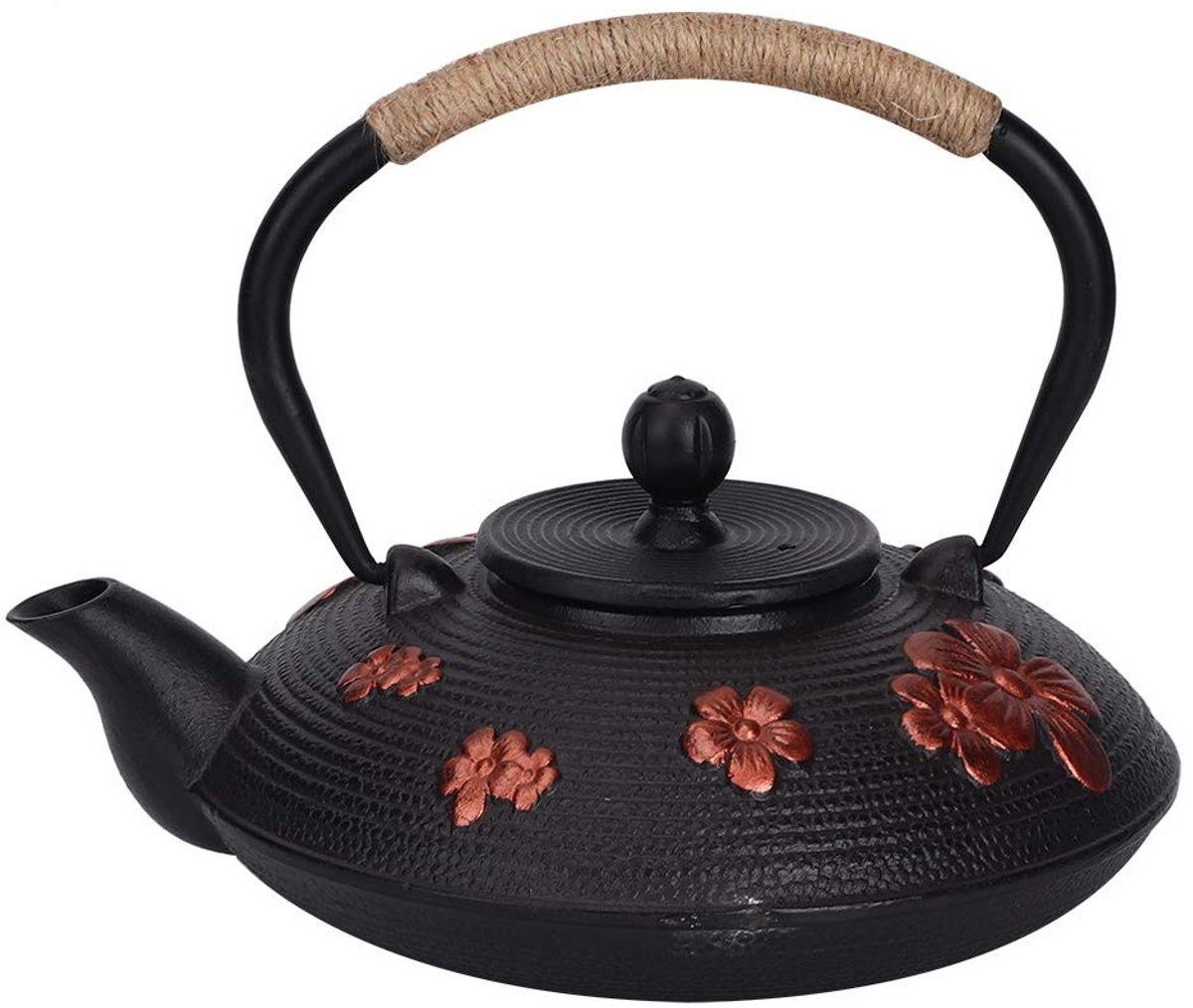Dailygoods - Gietijzeren Theepot voor Losse Thee, 0,9L