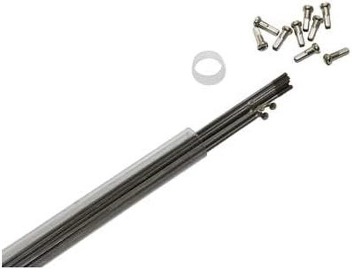 Fietsspaak Roestvrijstaal - Reserve spaak - Wiel Reparatie - 10-spaaks ontwerp - 286 mm - Zilver