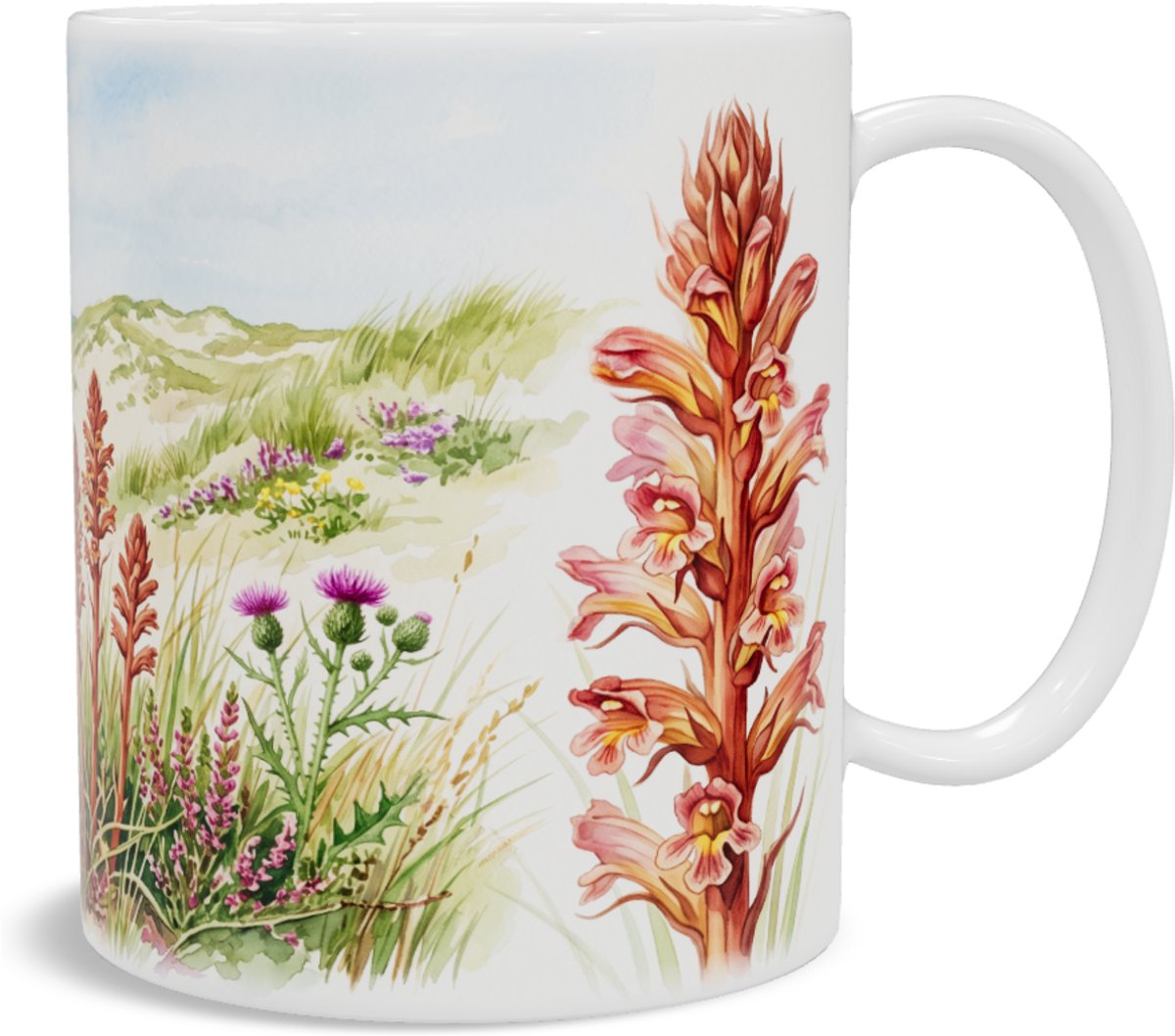 Mok met Rode Bremraap - Orobanche - Aquarel Duinlandschap