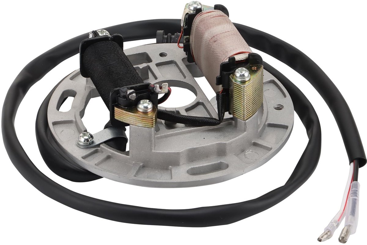 Dailygoods - Dailygoody - WOOSTAR 2 Coil 2 Wire Ignition Stator Magneto voor Suzuki LT80 KFX80 1987-2006