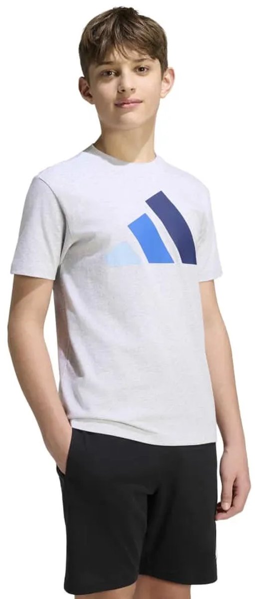 Adidas Essentials T-shirt Met Korte Mouwen 13-14 Years Kinderen Grijs