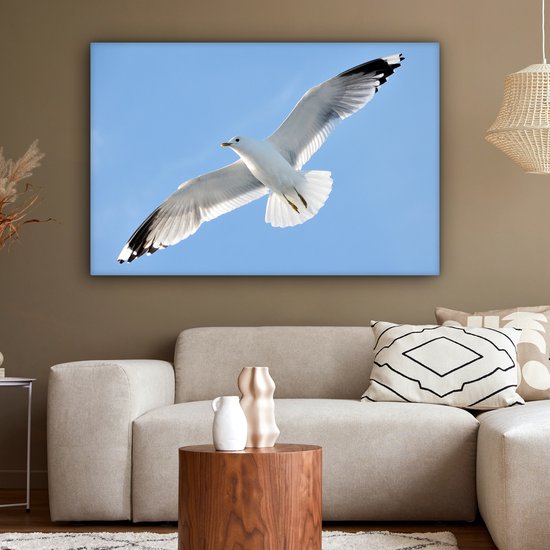 Gros plan d'une mouette en vol Toile 120x80 cm - Tirage photo sur toile (Décoration murale salon / chambre)