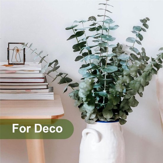 Stapel boeken naast een vaas met groene eucalyptus takken.