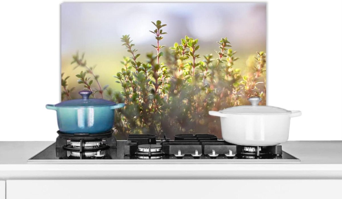 Keuken Spatscherm Wandpaneel Kookplaat Beschermen Unieke Fotoafdruk 70x50 cm Veelkleurig