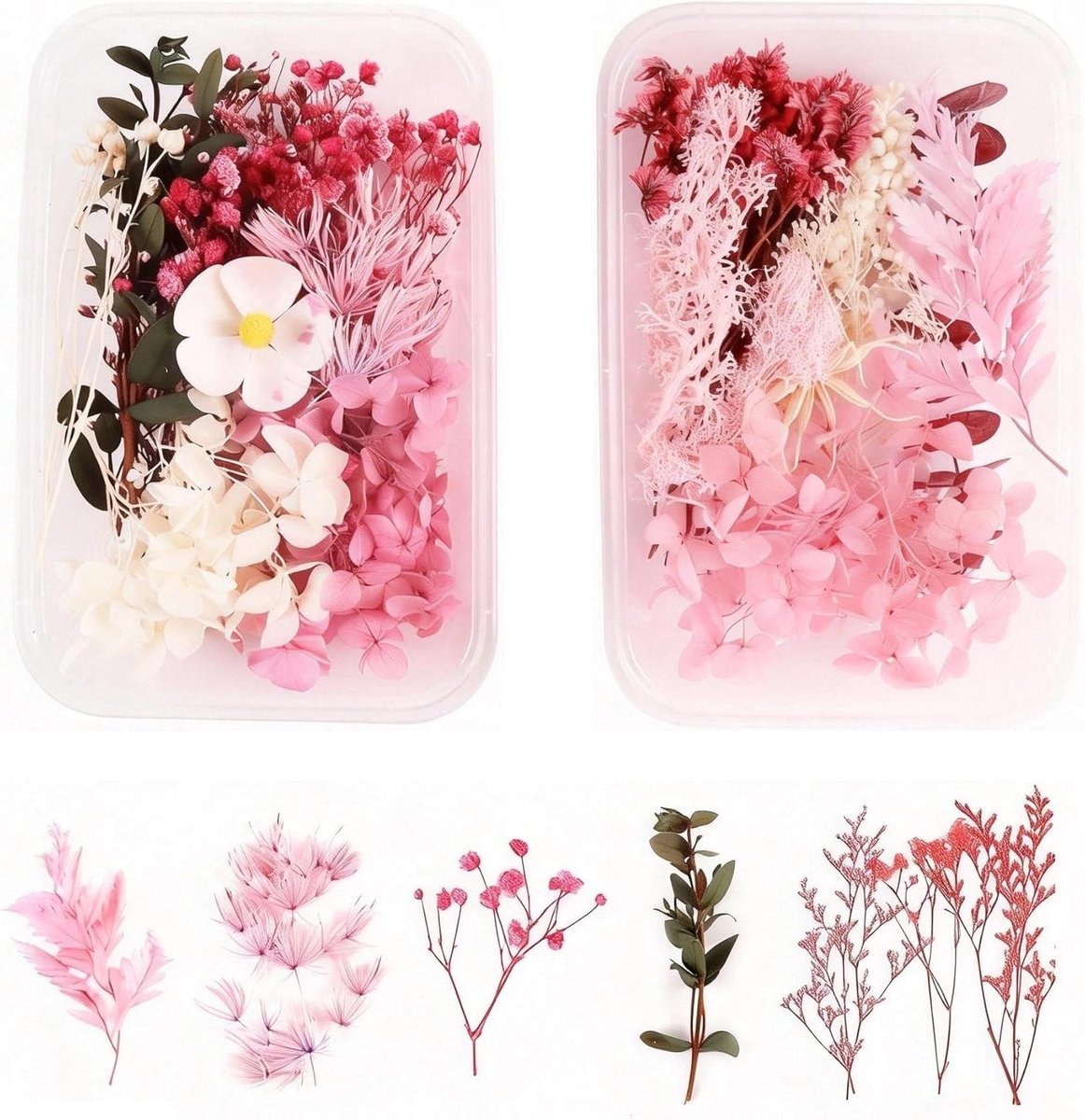 Decoratieve Gedroogde Bloemen in 2 Dozen, Natuurlijke Gedroogde Bloemblaadjes voor DIY Projecten zoals Kaarsen en Telefoonhoesjes