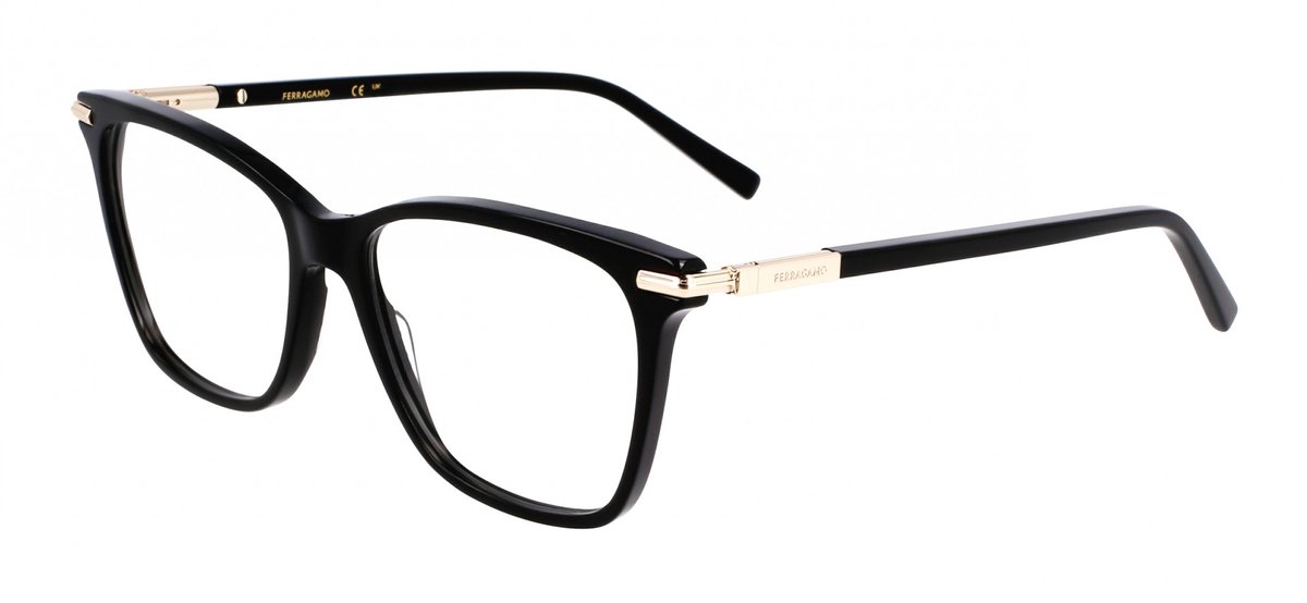 Ferragamo SF3013 Black 53/15/140 WOMAN Brilmonturen