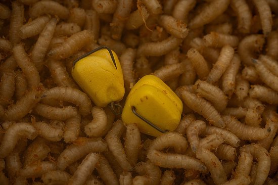 Corn Maggot Clip Pole Position van Merkloos — afbeelding 2