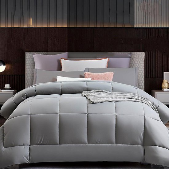 Dekbed Donsalternatief - Warm Dekbed Pluizig - Comfortabel Slapen - Geruisloos Materiaal - 220x220cm 3kg - Grijs