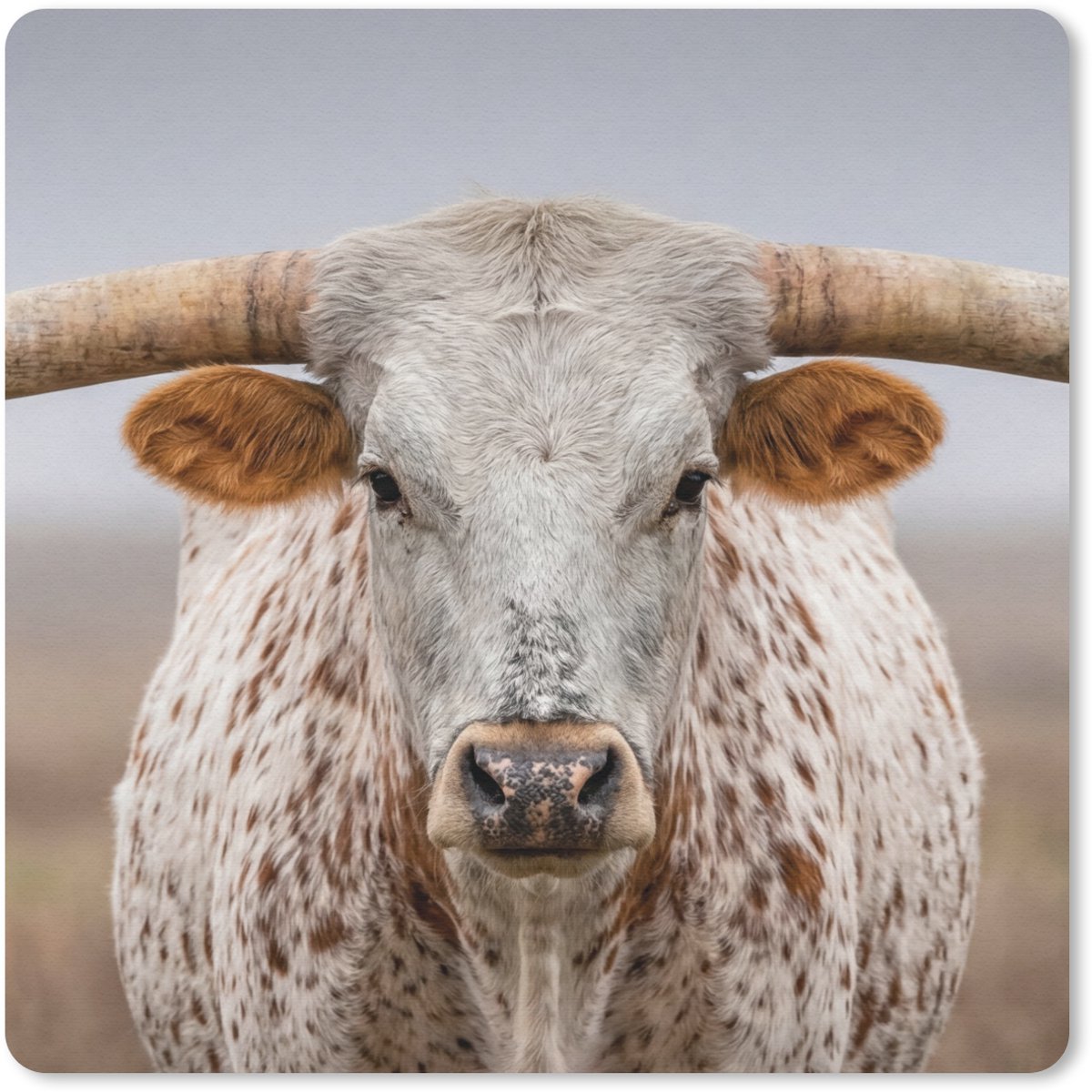 Muismat 30x30 cm - Mousepad Longhorn - Grasveld - Dier - Muismatten
