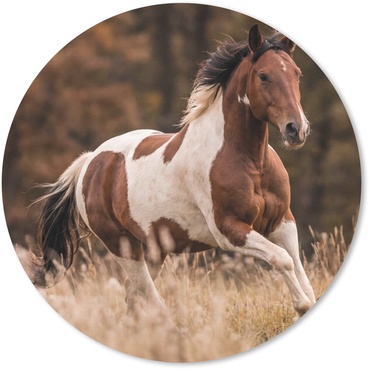 Muismat rond 30x30 cm - Mousepad Paard - Bruin - Gras - Ronde muismatten