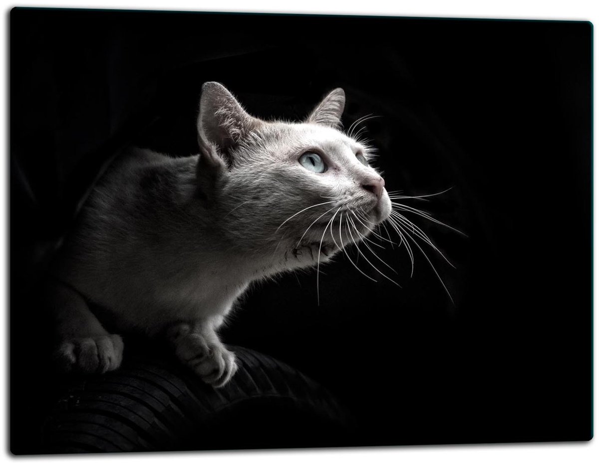 TMK ArtDeko - Glas Snijplank - 52x40 cm - Beschermend Beeld