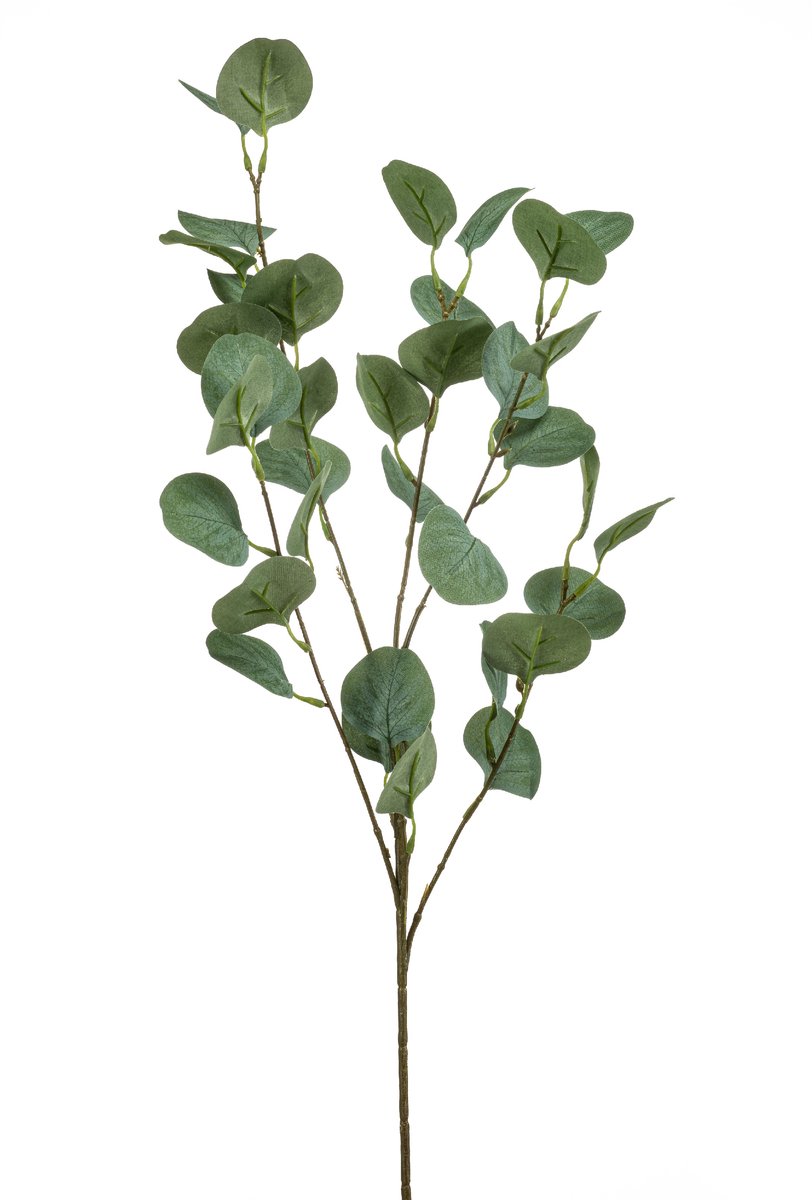 Kunsttak Eucalyptus - Kunststof/Polyester/Metaal - Groen - 85 cm - Realistisch Kunstbloem