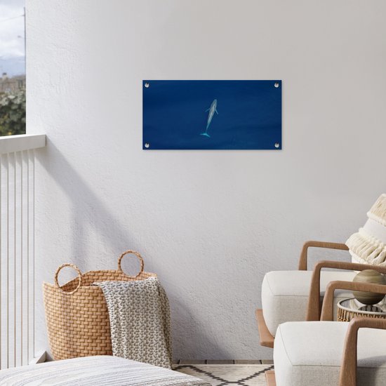 Une baleine bleue d'en haut Poster de jardin 60x30 cm - petit - Toile de jardin / Toile d'extérieur / Peintures pour l'extérieur (décoration de jardin)