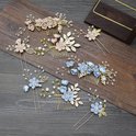 Set van zes haaraccessoires in pastelkleuren: haarkammen en spelden met bloemen, parels en gouden bladeren.