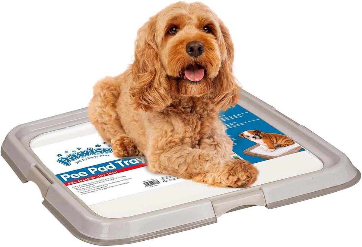 Honden Trainingsbak - Plasbak Hond - Zindelijkheidstraining - Antislip Voetjes - 56x56cm - Grijs