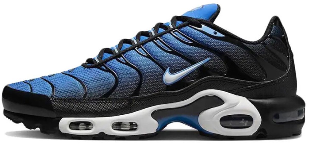 Nike Air Max Plus ‘Aquarius ‘ Wit