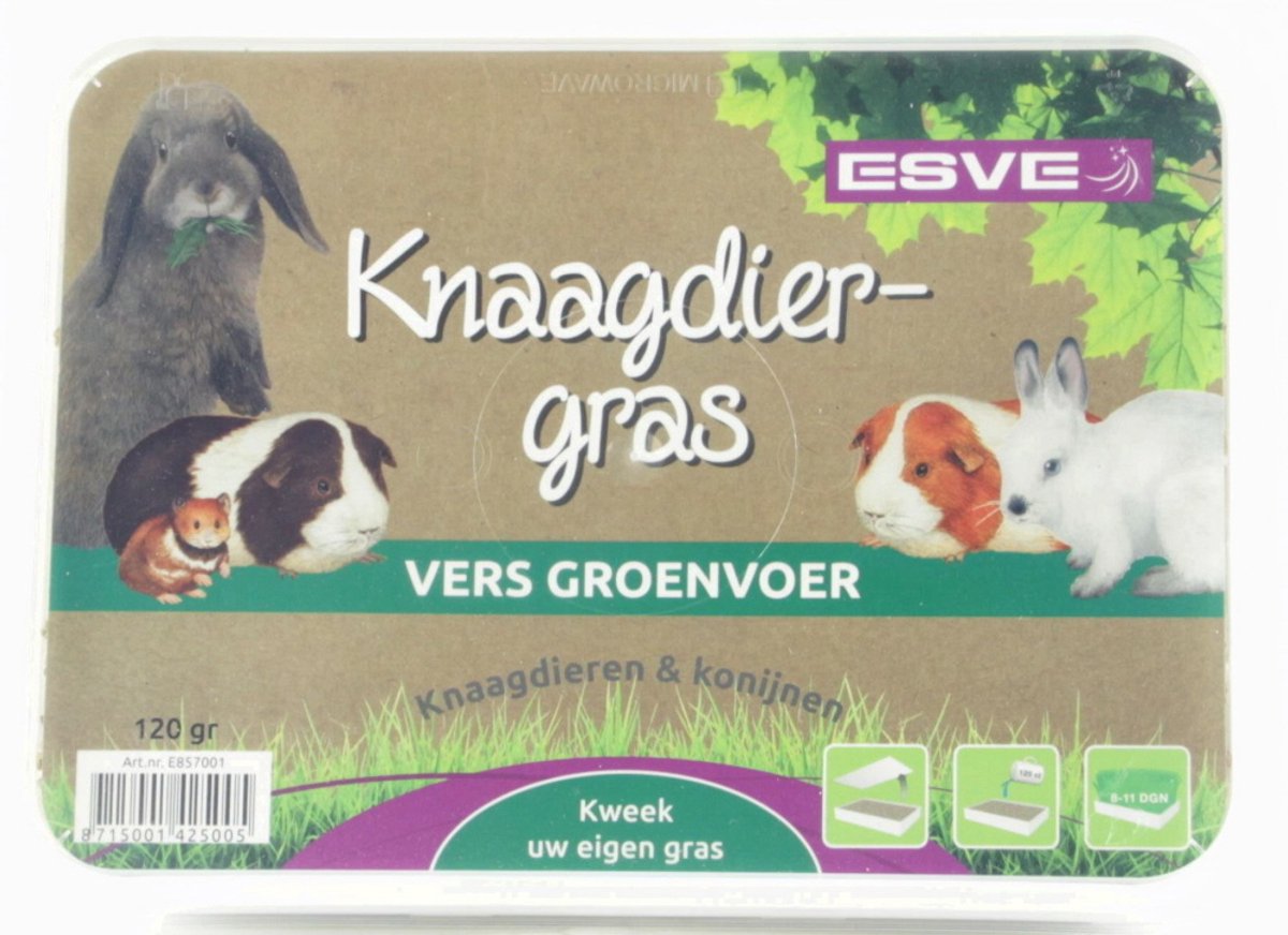 Esve knaagdiergras weidebloem