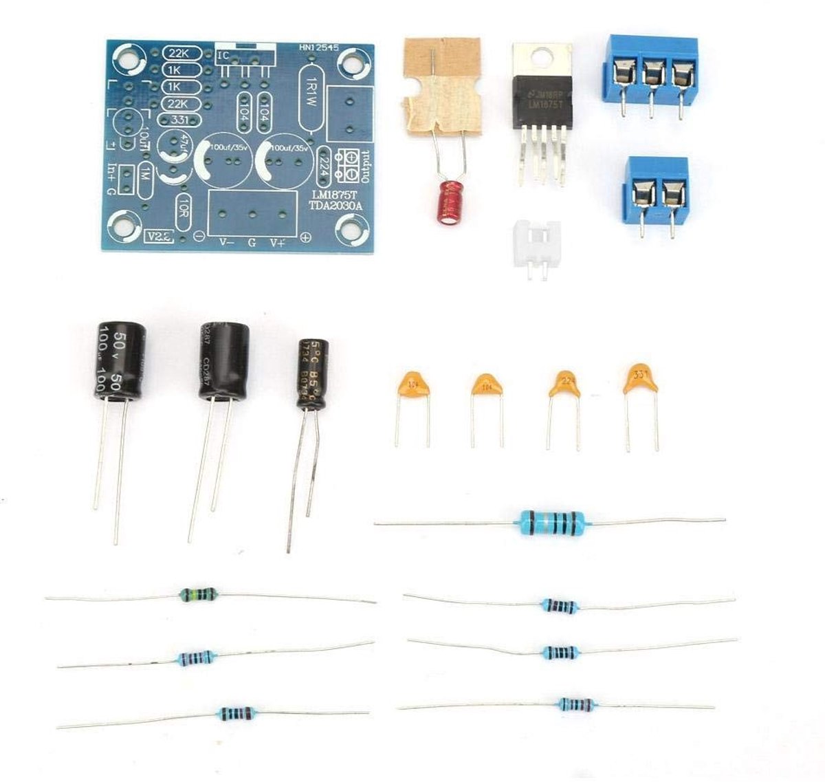 Allecto - Audio Amplifier Board - HiFi Versterker - Compact en Betrouwbaar - Mono Kanaal - 20W Vermogen - DIY Kit - Geschikt voor Audio Enthousiast...