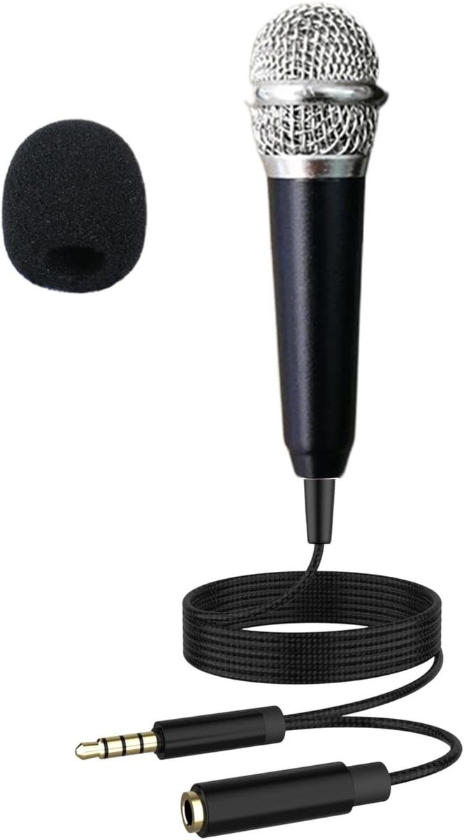 Kleine Microfoon - Draagbare Opname - Zingen en Opnemen - Plug and Play - 14 x 8 cm - Zilver