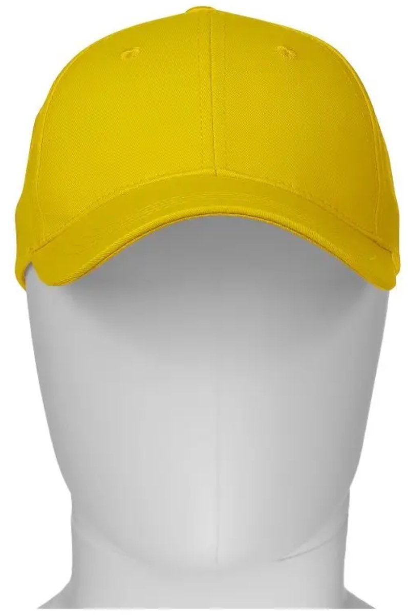 Baseball cap Payper Wear Illinois