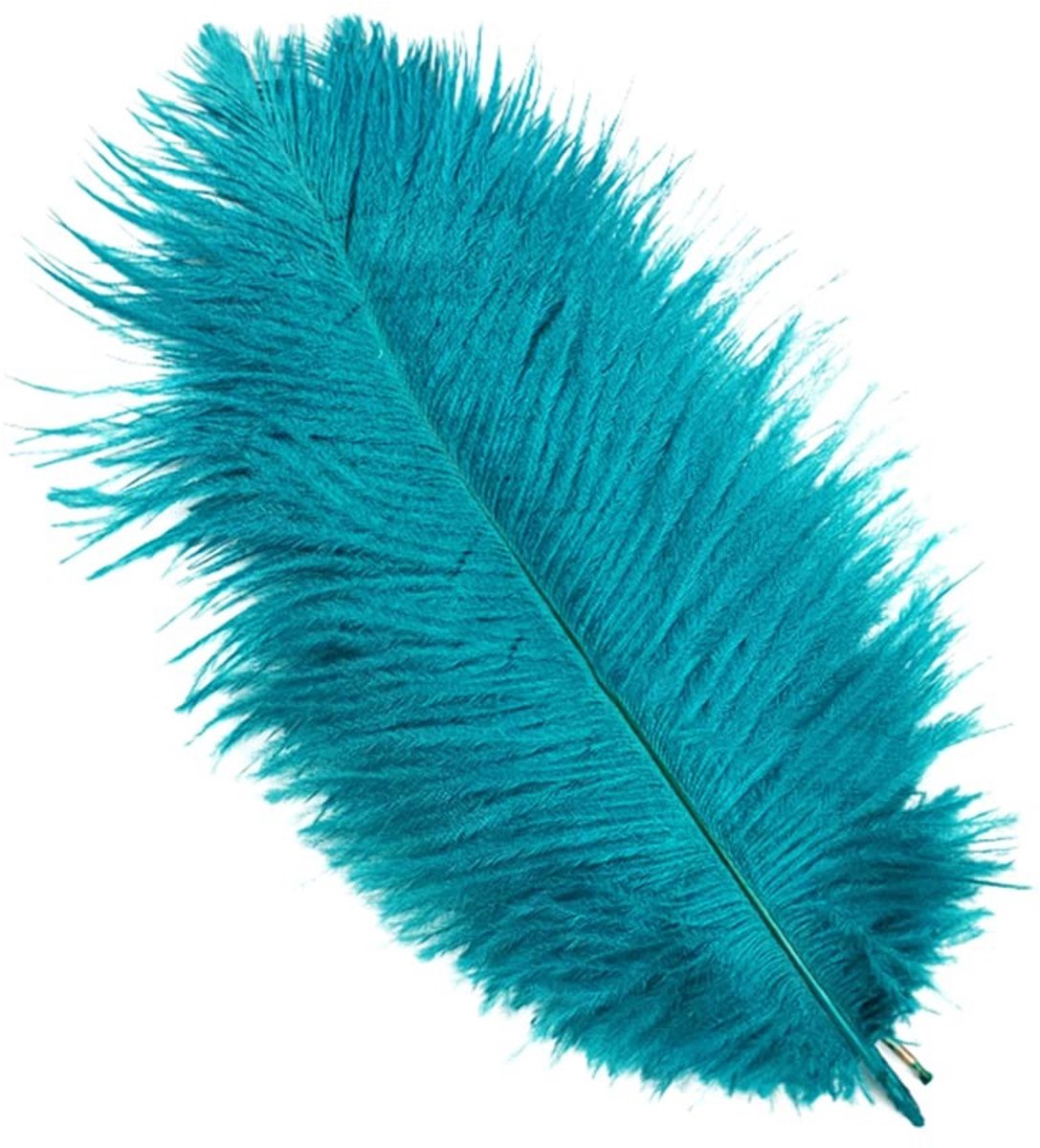 Dailygoods- Struisvogelveren 30-35 cm - 10 Stuks - Knutselveren/Doe-het-zelf - Decoratie/H