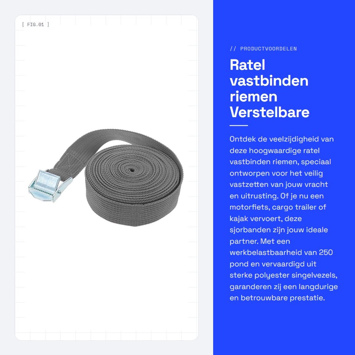 Dailygoods- Spanriemen 250 Pond Werkbelastbaarheid - Verstelbare Sjorbanden - Ratelbinders - Hoogwaardige Polyester - 2 Meter Lang - Duurzaam en Rafelt Niet