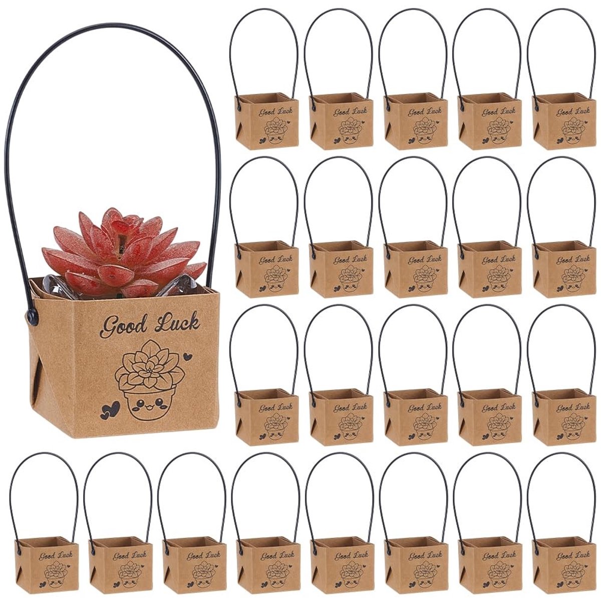 Dailygoods - 50 Stuks Camel Succesvolle Cadeauzakjes voor Succulenten - Kraftpapier Verpakking
