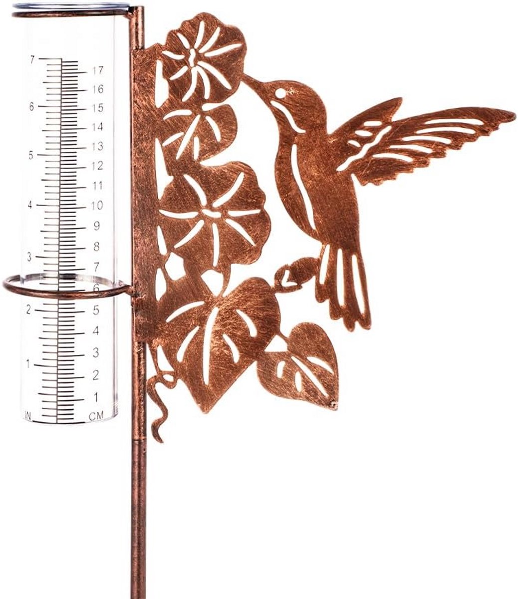 Regenmeter Tuin - Watermeter Buiten - Weer Meten - Kolibrie Decoratie - 35 Inch Hoog - Metaal