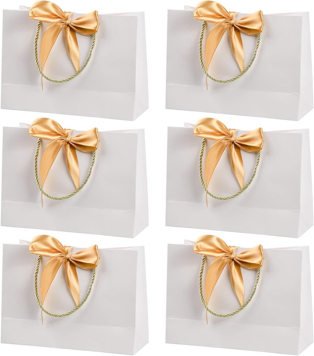Elegante Papieren Cadeautassen met Touw, 6 Stuks, Grote Tassen voor Kleding, Verjaardag, Bruiloft en Feestdagen, 28 x 20 x 10 cm (Wit)
