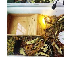 Waterbekken voor schildpadden met klimhelling en reptielenbad accessoires