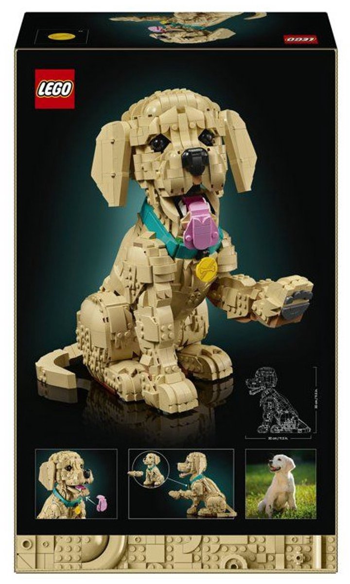 LEGO® Icons Golden Retriever Puppy - Decoratieve Dierenfiguur - Bouwset voor Volwassenen - 11384 — afbeelding 23