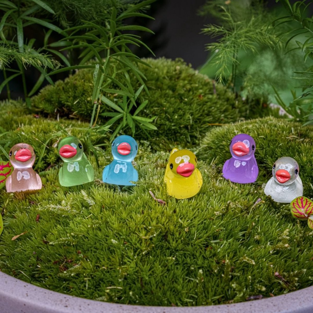 Glow in the dark - Ducks - Multi - ↑ 2 cm - 7 pcs | Florazo