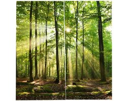 Balkon Gordijn - Raamgordijn Woondecoratie - Binnen Buiten Gebruik - Bos Zonlicht Print - 170 x 200 cm - Wit