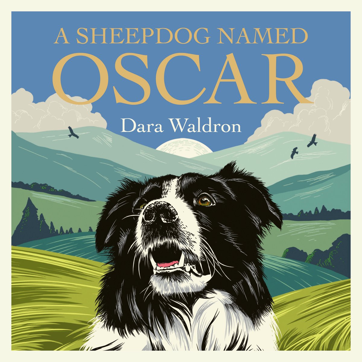 A Sheepdog Named Oscar thumbnail