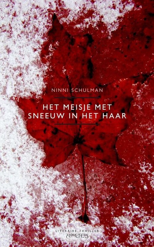 Het Meisje Met Sneeuw In Het Haar - cover