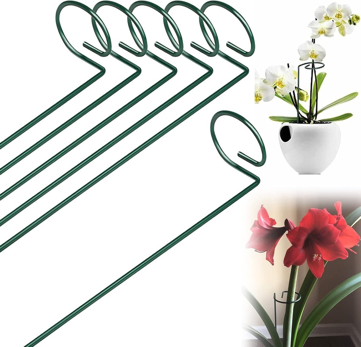 Ondersteuningsring voor planten - Metalen tuinsteunen van 40 cm voor tomaten, lelies en rozen
