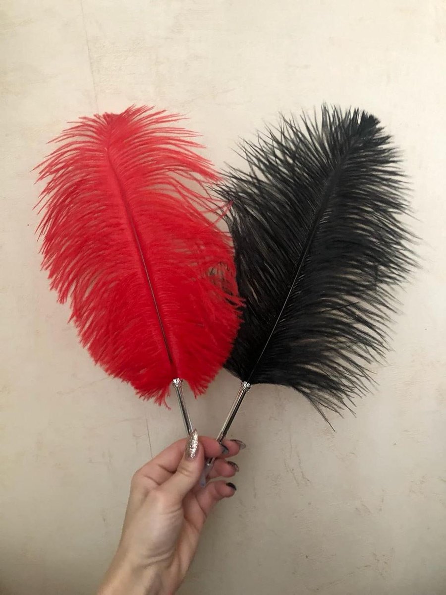 Veer Balpen - Schrijfviltstift Pen - Bruiloft Gastenboek - Echte Struisvogelveer - 30 cm - Rood