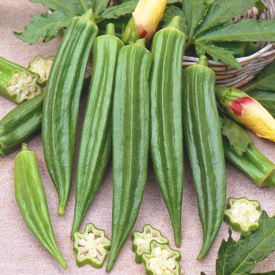 Okra Clemson Spineless