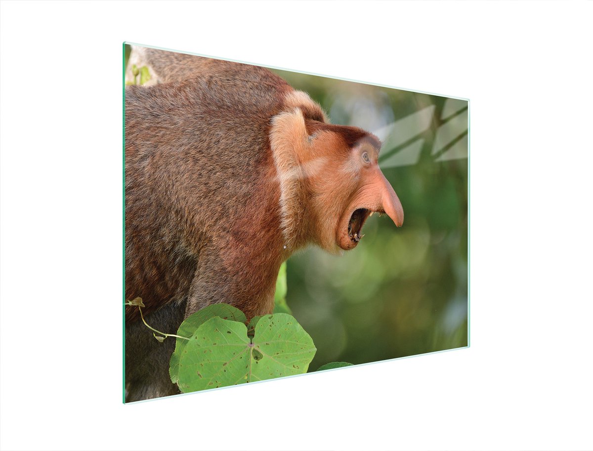 TMK ArtDeko - Snijplank van Geh. Glas - 40x30 cm - UV Print - Antislip