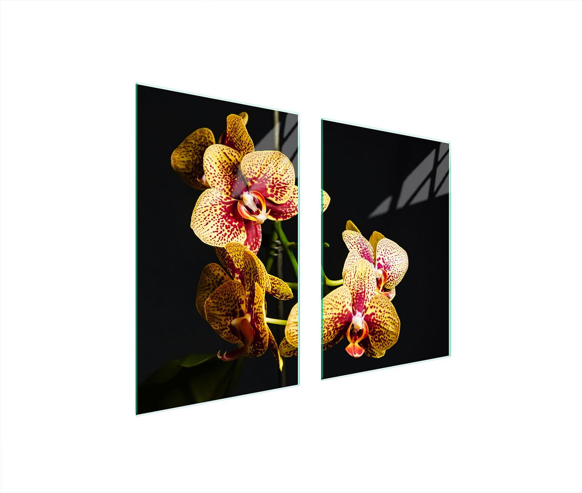 TMK ArtDeko Serie - Glazen Beschermplaat - 65x52cm - Orchidee Motief