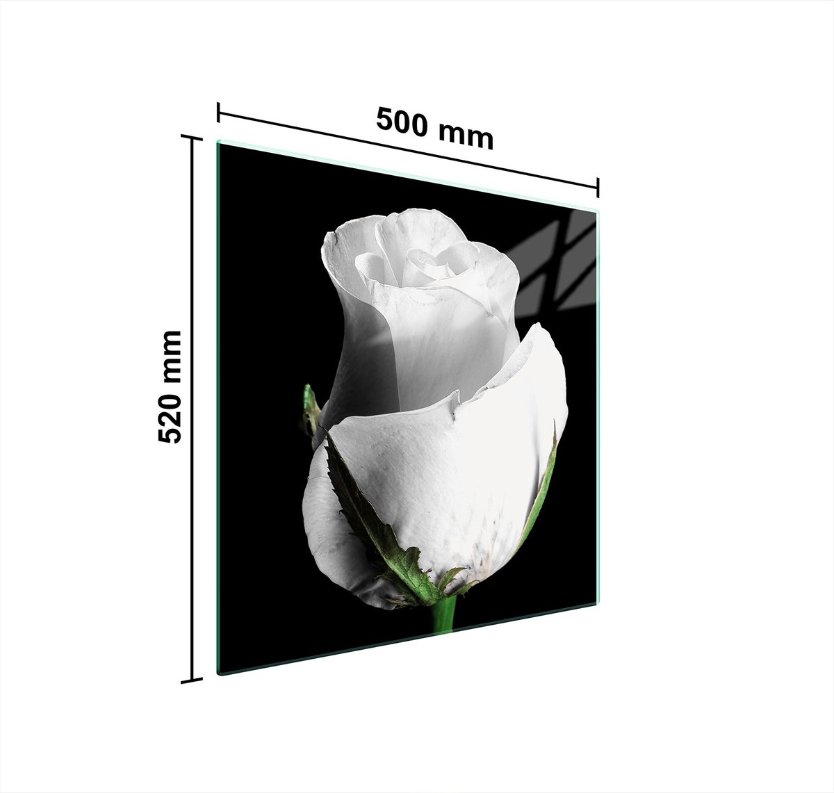 TMK ArtDeko - Glazen Kookplaat Bescherming - 50x52 cm - Roos - Gehard Glas