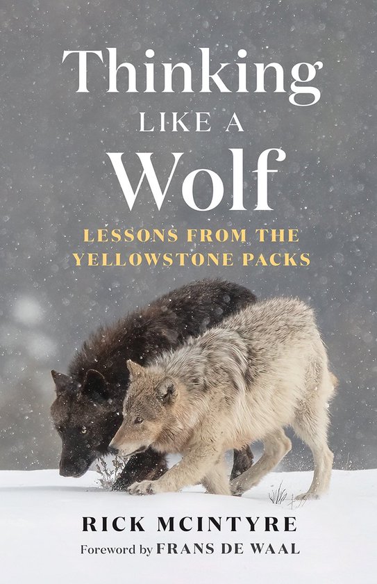 The Alpha Wolves of Yellowstone Series- Thinking Like a Wolf - cover