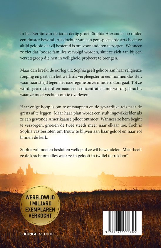 Boekcover met tekst en silhouet van een stad bij zonsondergang.
