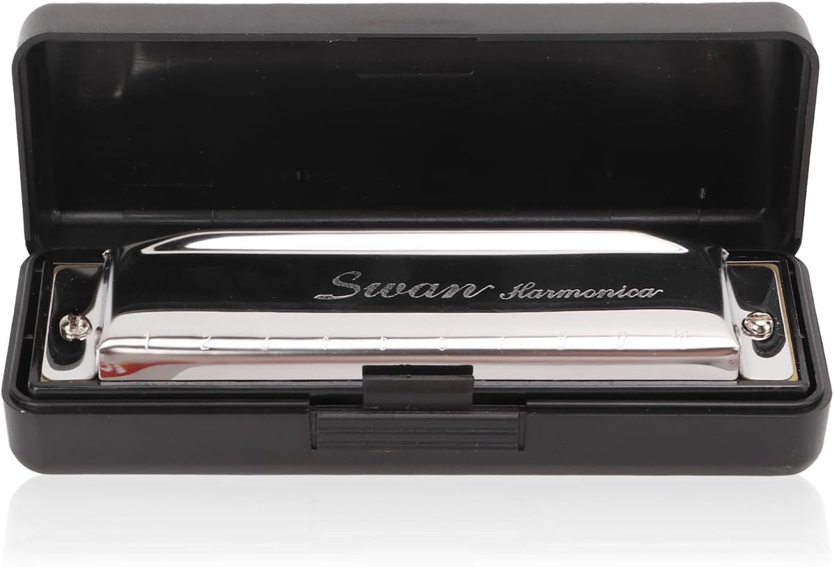 Kwaliteit Mondharmonica in G-Toonsoort met 10 Gaten en 20 Tonen voor Beginners