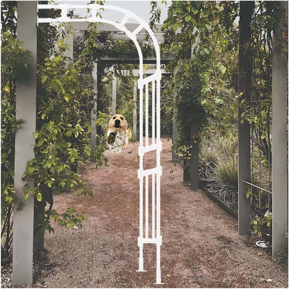 Weerbestendige metalen halve rozenboog - roestvrij tuinrooster voor klimplanten - gegalvaniseerd 240 cm wit prieel perfect voor rozen en wijnstokken