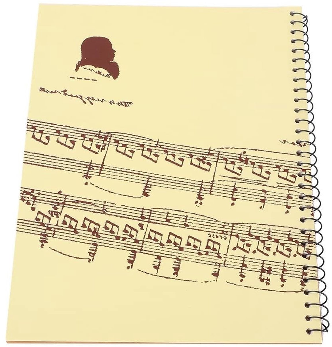 Cosensi- Manuscriptpapier 50 Vellen - Muziekblok - Muziekpapier A4 Noten Lijnen - Notitieblok voor Muzikanten - Geschikt voor Muziekles - Hoogwaardig Papier