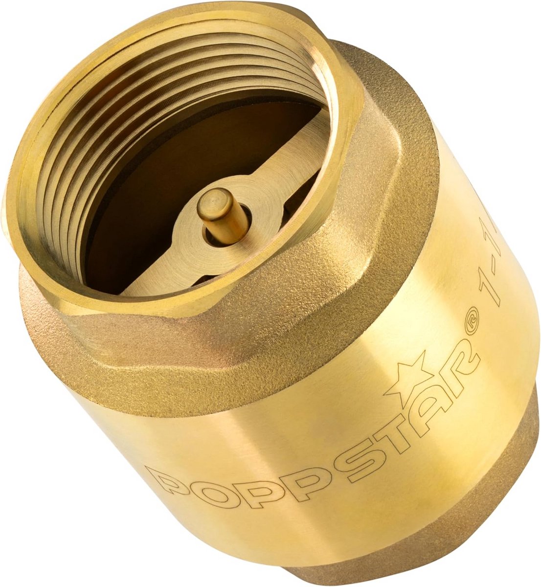 Terugslagklep 1 1/4 Inch Messing RVS Waterdicht voor Pomp en Hogedrukreiniger