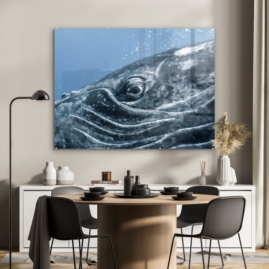 MuchoWow® Peinture sur verre 120x90 cm - Peinture sur verre acrylique - Water - Animaux - Baleine à bosse - Photo sur verre - Peintures